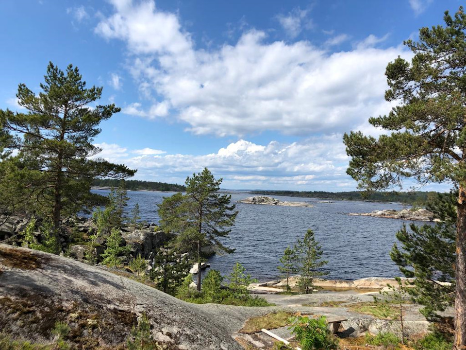 Сход-развал — Saab 9-5, 2,3 л., 2006 года | плановое ТО | DRIVE2