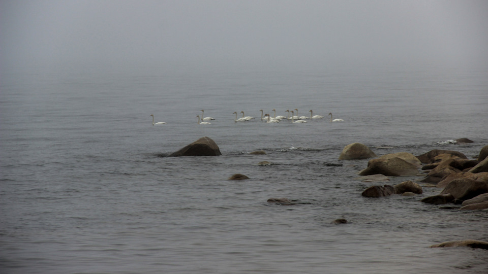 Фото в бортжурнале Mitsubishi Pajero (4G)