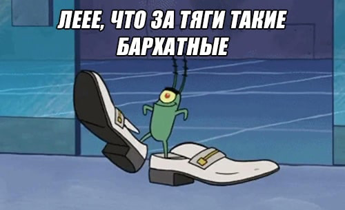 Бархатные тяги мем какого года
