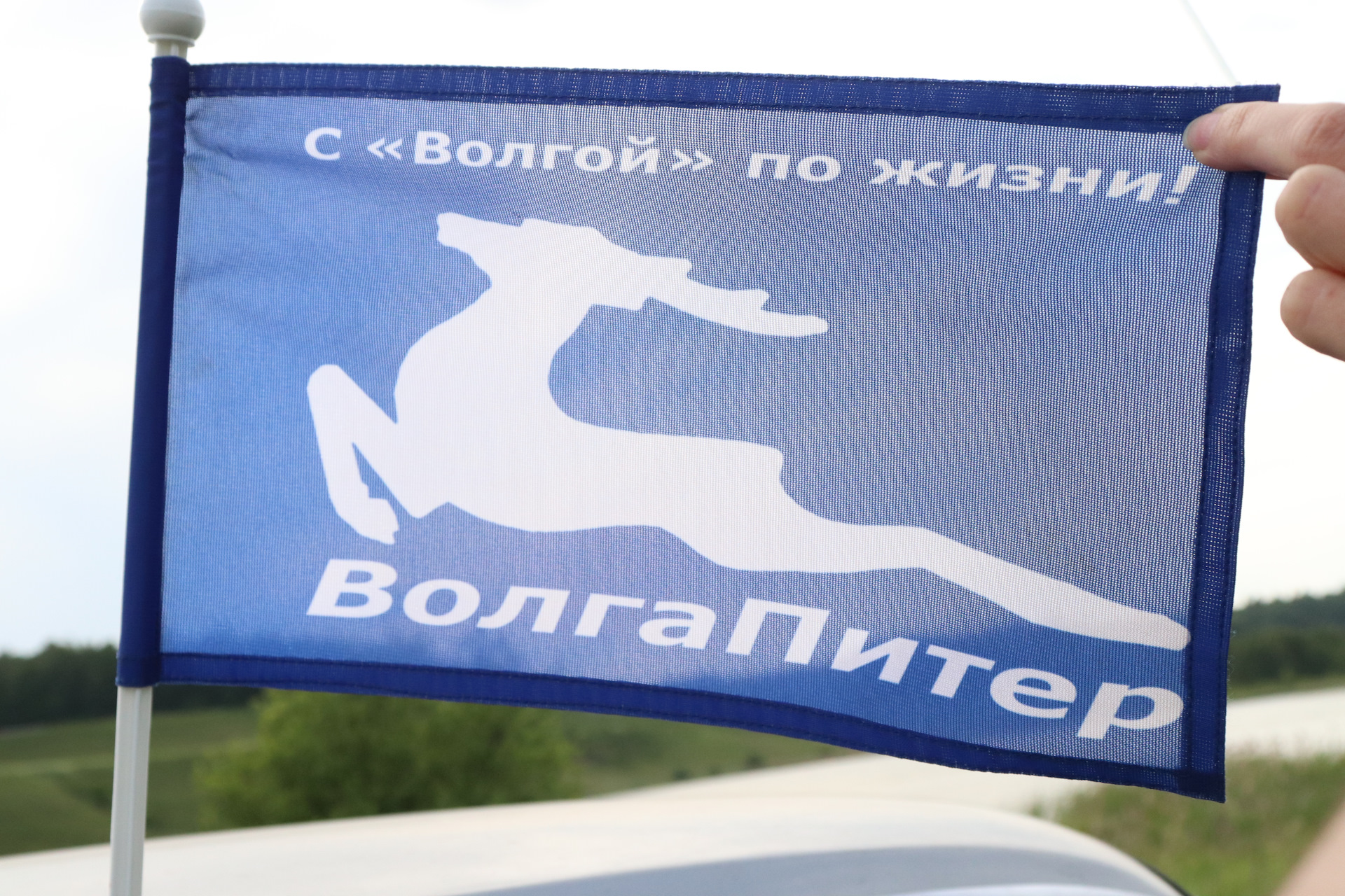 Зеленая карта изборск