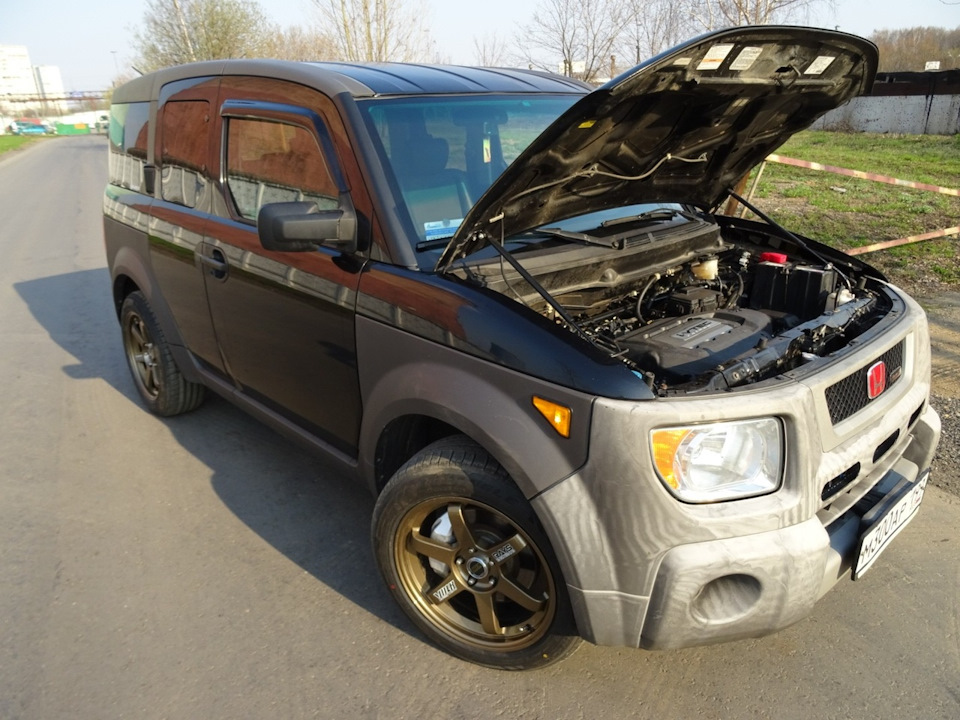 Honda element Sema