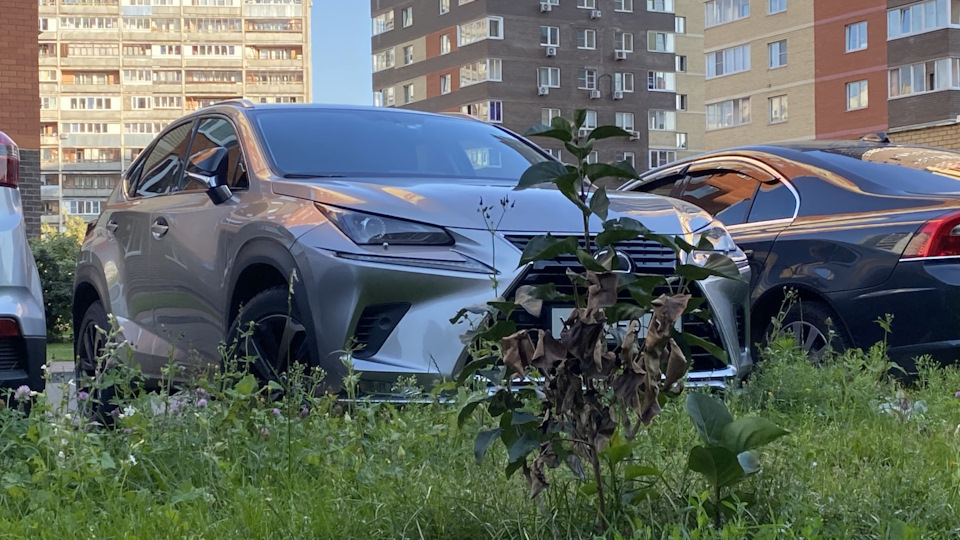 Lexus NX Янгтаймер?