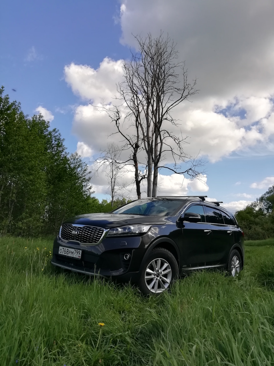 Прощай пинки или лечим тремор АКПП. — KIA Sorento (3G), 2,4 л, 2019 года |  визит на сервис | DRIVE2