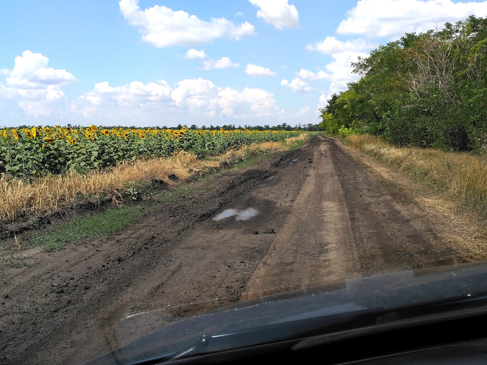 Пошла грунтовочка! — FIAT Linea