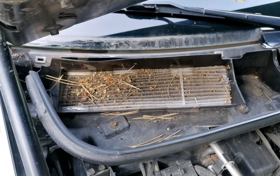 Фото в бортжурнале Lincoln Town Car III