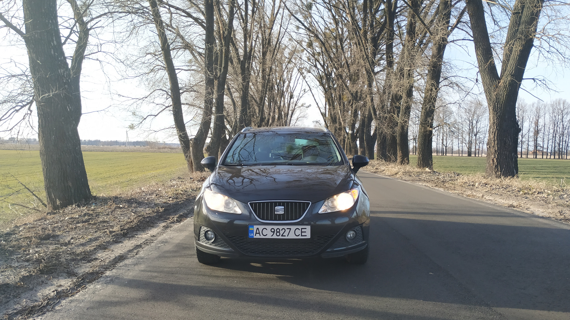 SEAT Ibiza (6J) 1.6 дизельный 2010 | ST Style 