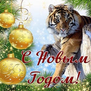 С НОВЫМ ГОДОМ! — Mitsubishi Pajero Sport (2G), 2,5 л, 2010 года ...