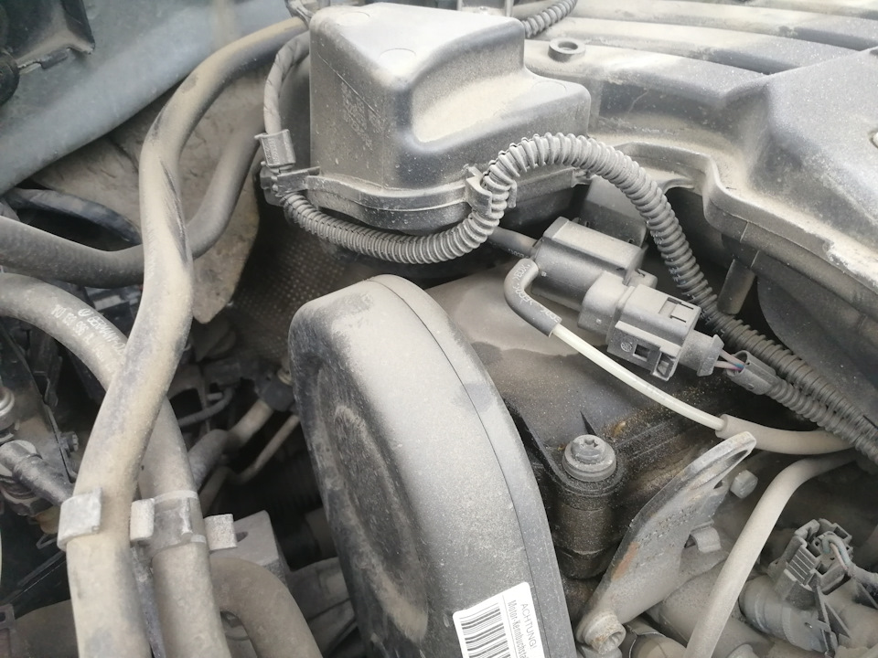 Делать или не мешать работать мотору? — Skoda Octavia A5 Mk2, 1,6 л ...