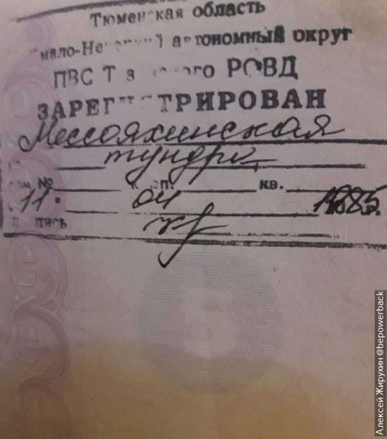 что делают в тундре. Смотреть фото что делают в тундре. Смотреть картинку что делают в тундре. Картинка про что делают в тундре. Фото что делают в тундре
