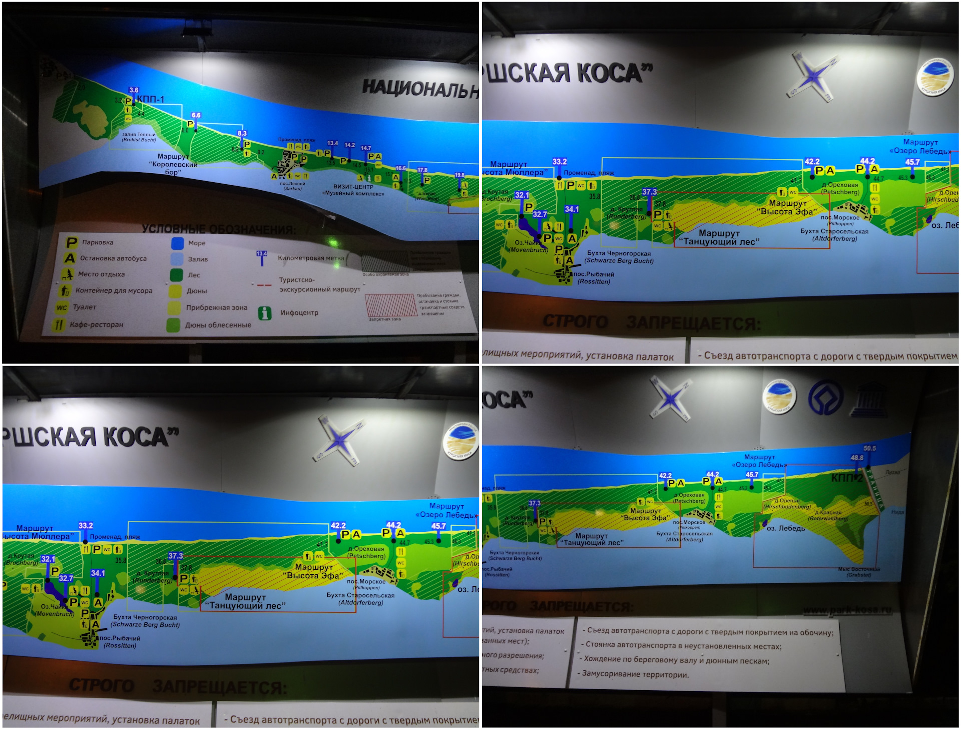 Карта куршской косы калининградская область с достопримечательностями