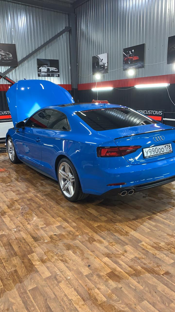 Первый тюнинг это защита авто — Audi A5 (2G), 2 л, 2019 года | стайлинг |  DRIVE2