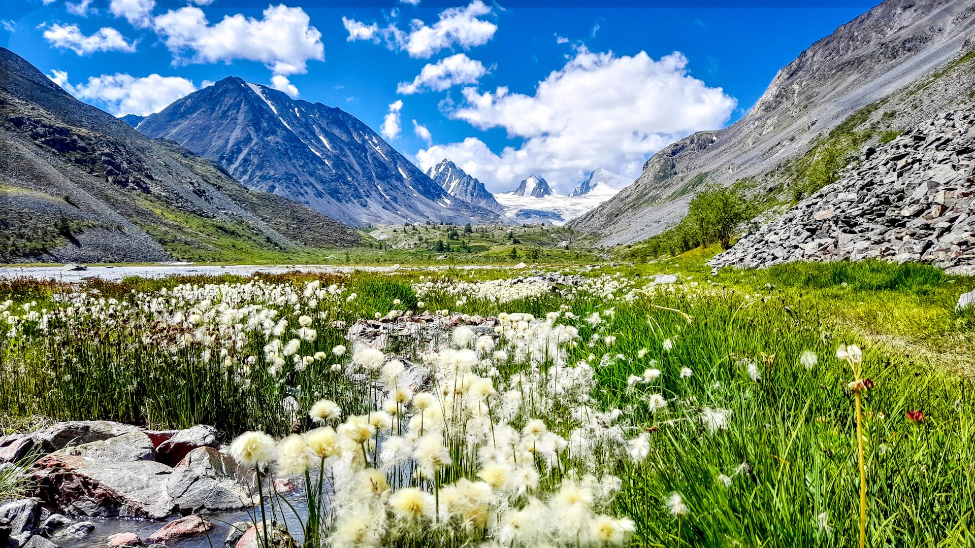 Горный алтай фото природы лето 2024