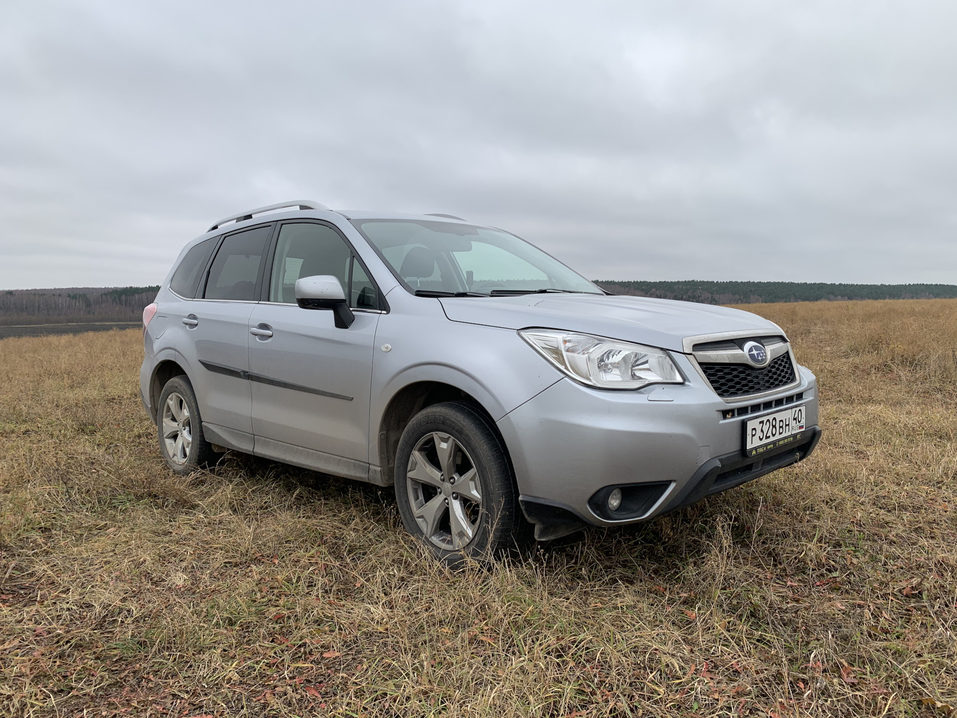 Стоит ли привлекать автоподборщика к покупке машины? — Subaru Forester  (SJ), 2 л, 2015 года | покупка машины | DRIVE2