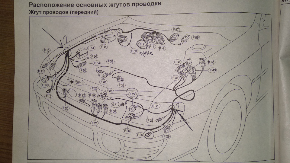 почему туманки горят в пол накала. Смотреть фото почему туманки горят в пол накала. Смотреть картинку почему туманки горят в пол накала. Картинка про почему туманки горят в пол накала. Фото почему туманки горят в пол накала