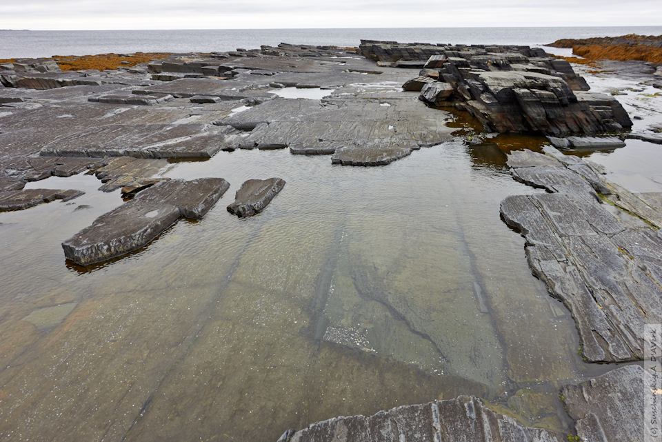 Фото в бортжурнале SsangYong Kyron