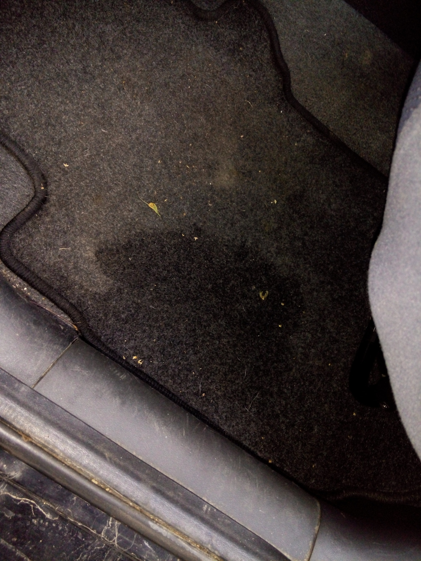 Протекает вода в машину. Мокрый коврик Пежо 307. Задний пассажирский коврик на кардан. Мерседес 211 мокро под ковриком. Tucson вода в салоне.