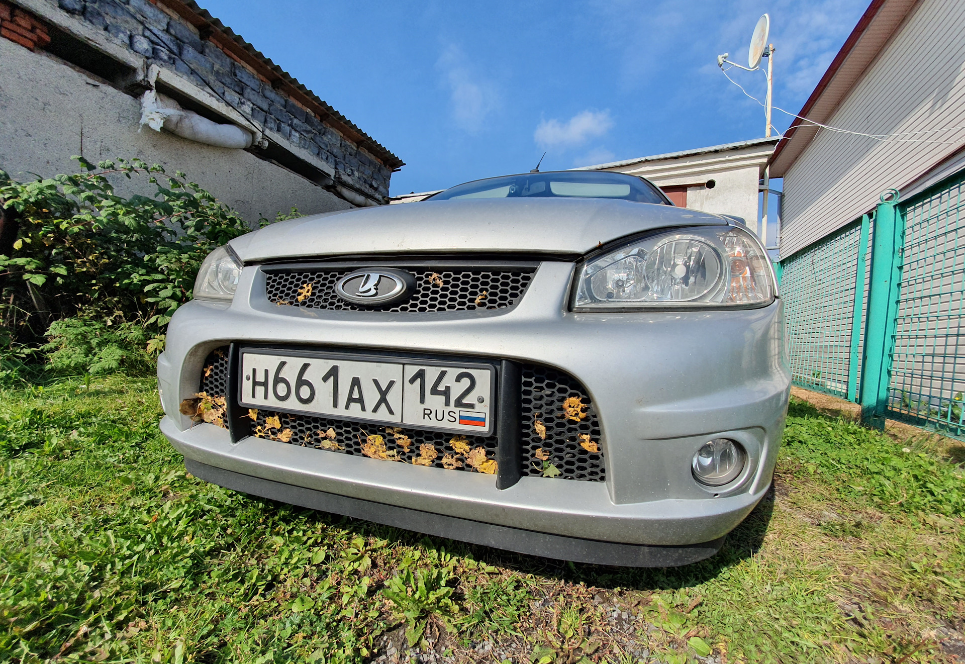 Решетки калина спорт