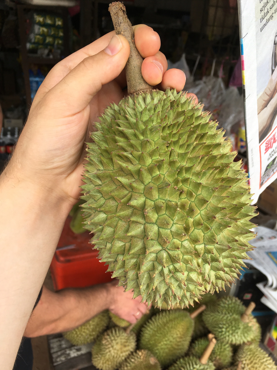 Дуриан- фрукт на любителя. Но мне очень понравился. — Honda Civic 4D (8G)