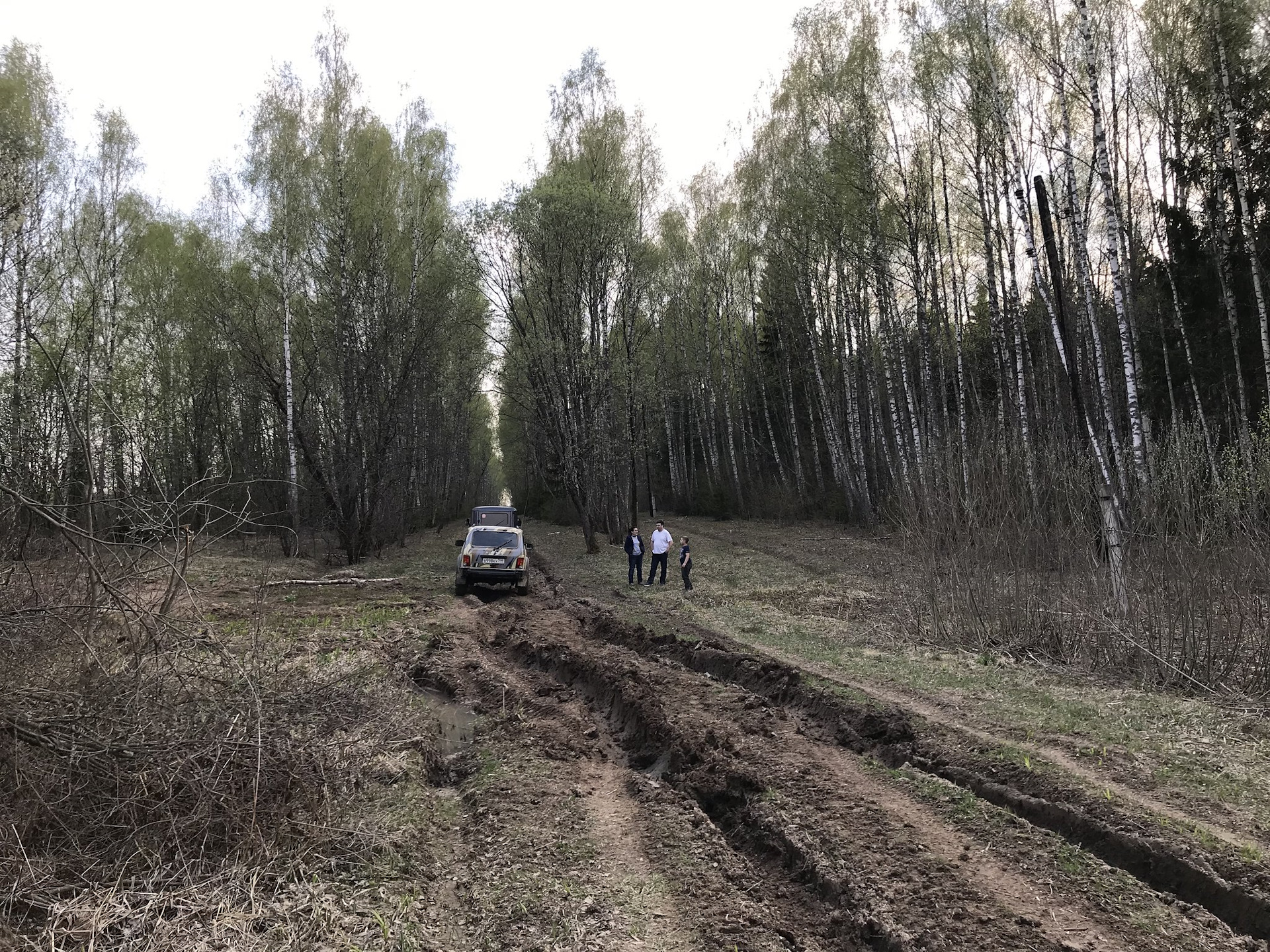 Работа тракт. Екатерининский тракт в Пензенской области. Екатерининский тракт Владимирская область Александровский район. Екатерининский тракт Пыщуг. Екатерининский тракт Уйский район.