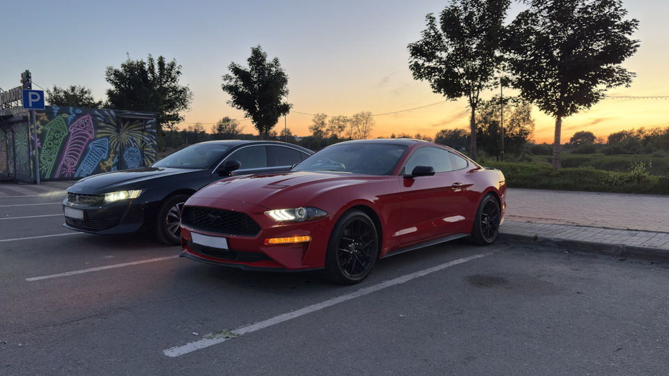 Photo from the logbook Ford Mustang (6G)