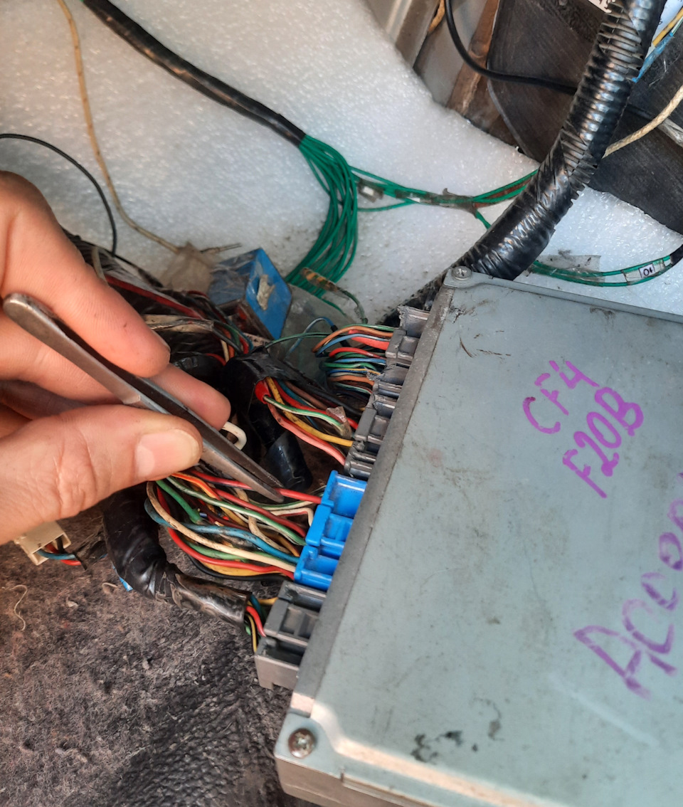 Переборка разъёмов косы на ЭБУ на Xонда Tорнео Aккорд 6 gen — Honda ...