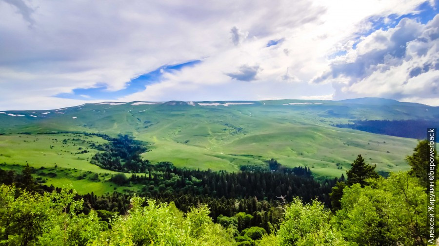 что значит альпийские луга. Смотреть фото что значит альпийские луга. Смотреть картинку что значит альпийские луга. Картинка про что значит альпийские луга. Фото что значит альпийские луга