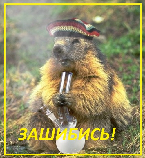 ))) — Ford S-Max (1G)