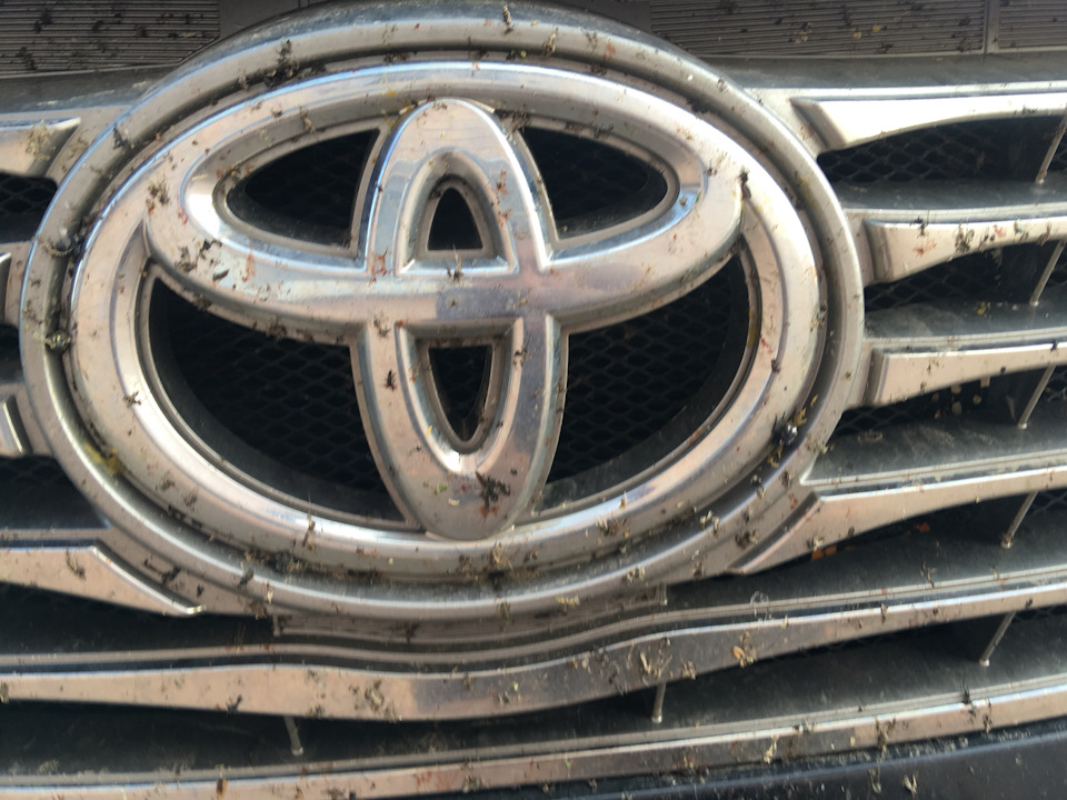 Замена опорников, пыльников — Renault Kangoo (1G), 1,5 л., 2002 года ...