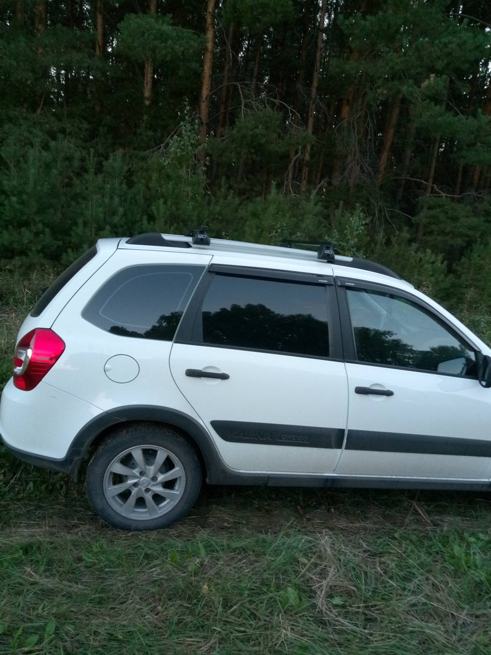 Фото в бортжурнале Lada Kalina Cross