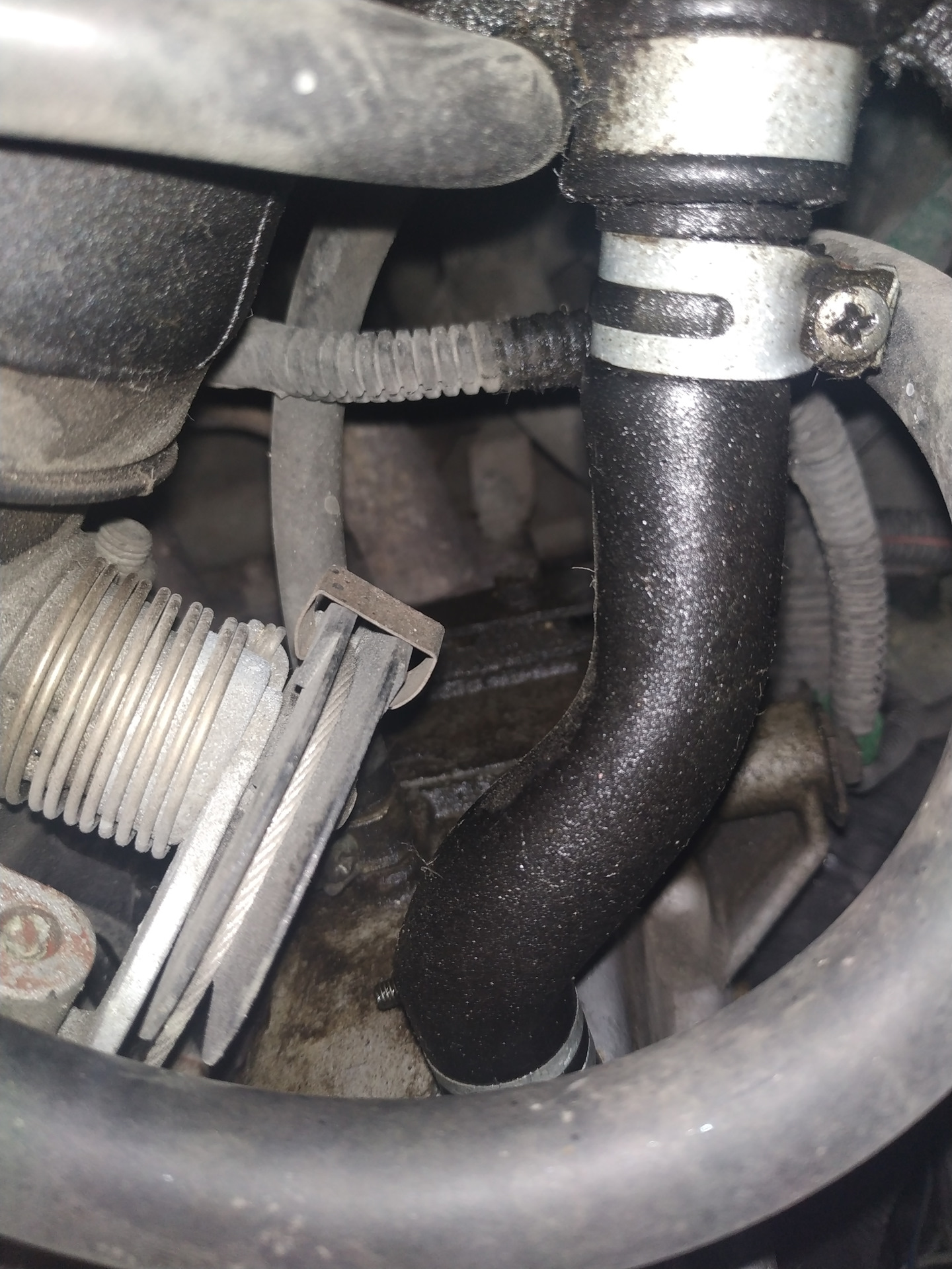 Как устранить течь масла? — Lada 21114, 1,6 л, 2009 года | поломка | DRIVE2