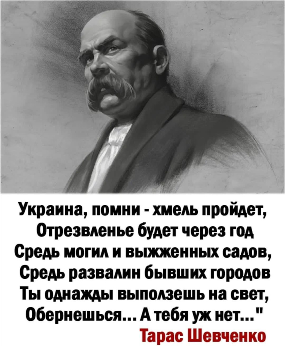 Картинка шевченко о хохлах