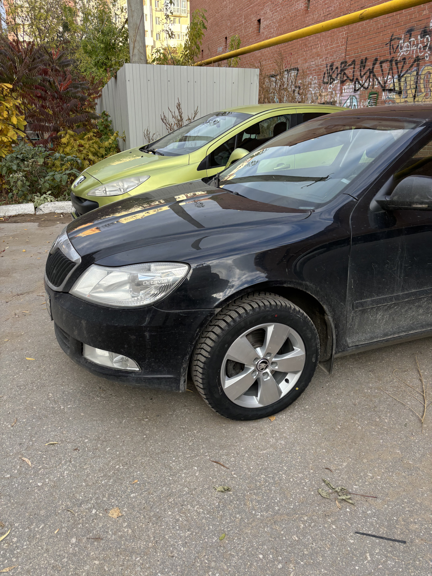 Резина сайлун — Skoda Octavia A5 Mk2, 1,6 л, 2012 года | шины | DRIVE2