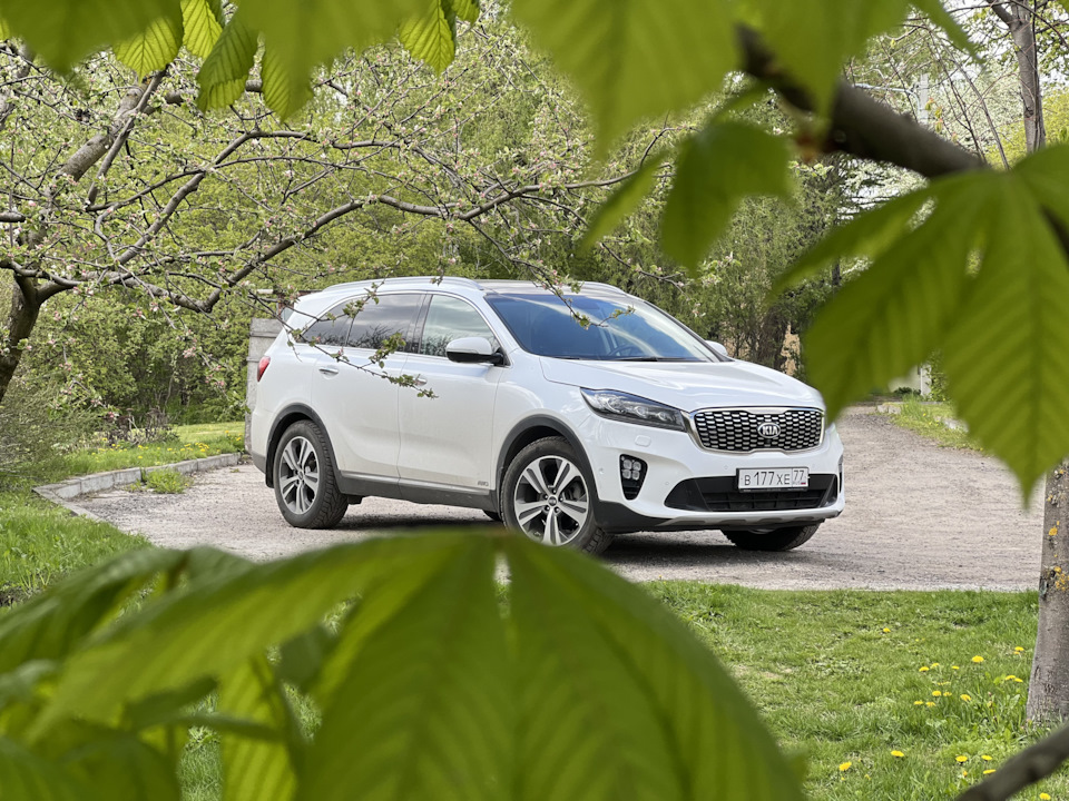 Где обслужить панораму в мск? — KIA Sorento (3G), 2,2 л, 2018 года ...