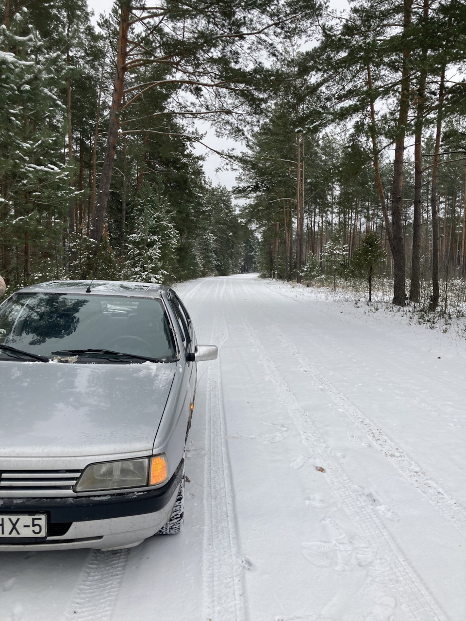 Одна пежо хорошо, а два лучше — Peugeot 405, 1,6 л, 1995 года | наблюдение  | DRIVE2