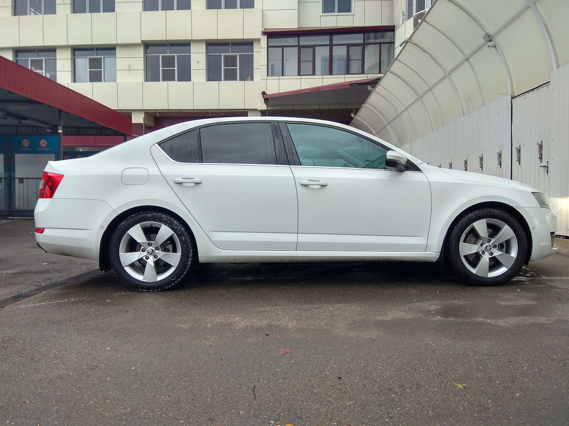 17 50. Octavia a7 225/50 r17. 225/50 R17 на Шкода Октавия а7. Шкода Октавия а 7 на 225/45. Skoda Octavia a7 225 45 17.