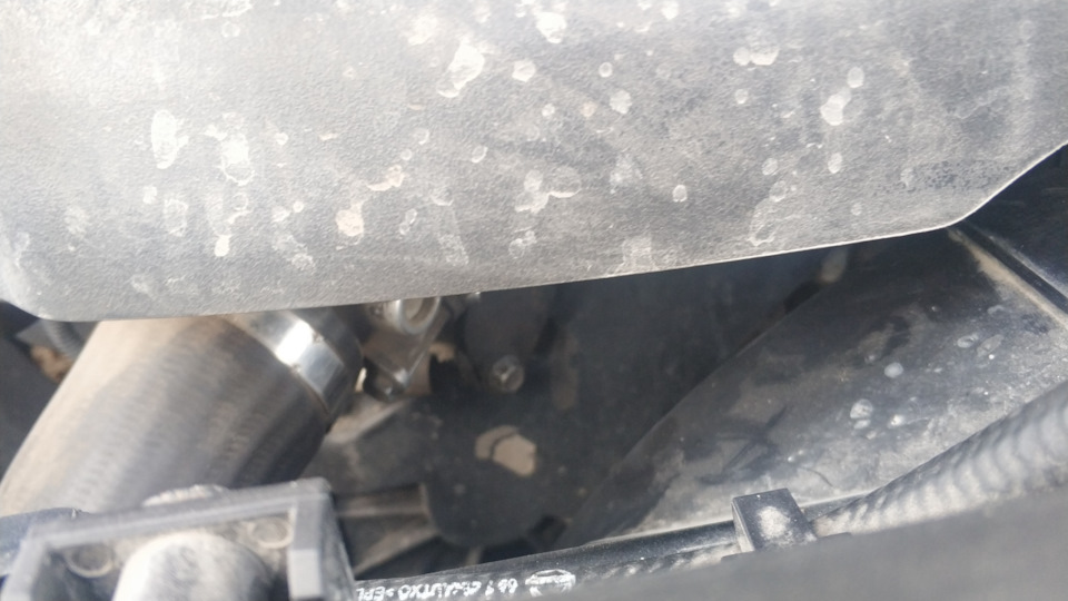 Фото в бортжурнале Nissan Pathfinder (3G)