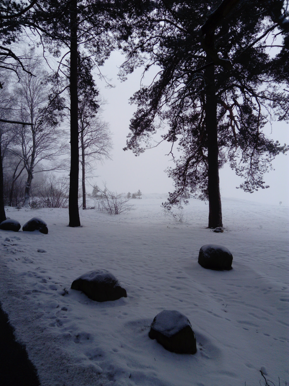 Фото в бортжурнале Renault Sandero 2G