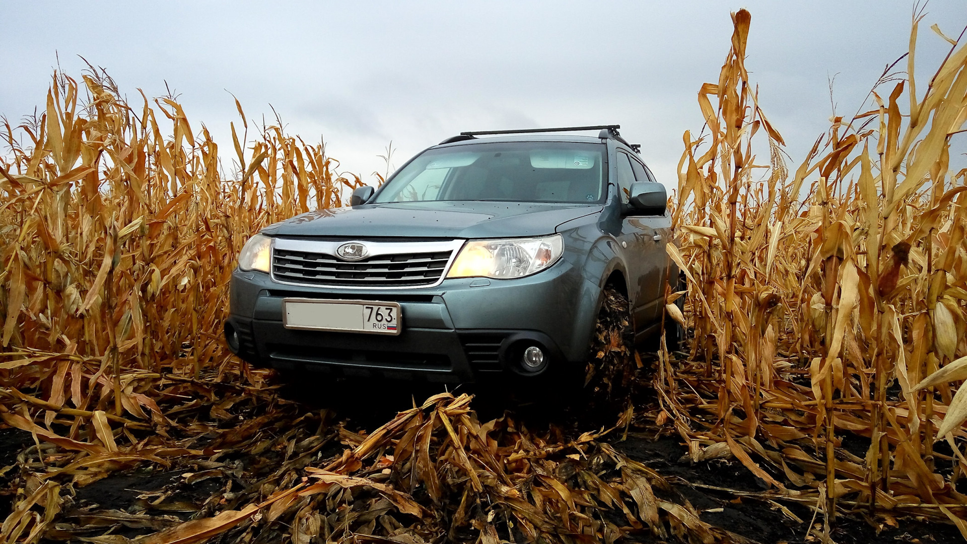 Subaru Forester (SH) 2.5 бензиновый 2008 | Егерь на DRIVE2