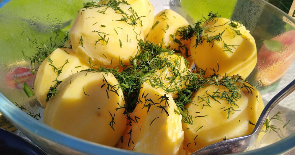 сазан на углях на решетке рецепт с фото. Смотреть фото сазан на углях на решетке рецепт с фото. Смотреть картинку сазан на углях на решетке рецепт с фото. Картинка про сазан на углях на решетке рецепт с фото. Фото сазан на углях на решетке рецепт с фото сазан на углях на решетке рецепт с фото. Смотреть фото сазан на углях на решетке рецепт с фото. Смотреть картинку сазан на углях на решетке рецепт с фото. Картинка про сазан на углях на решетке рецепт с фото. Фото сазан на углях на решетке рецепт с фото