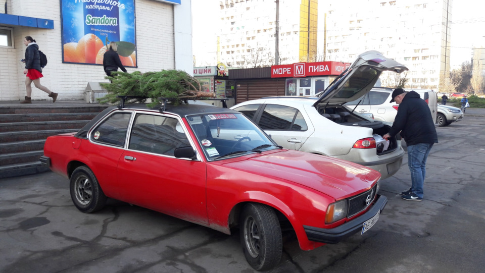 Фотки с 2018 года)) ёлка и аскона🌲🎄🚗 — Opel Ascona B, 1,6 л, 1980 года ...
