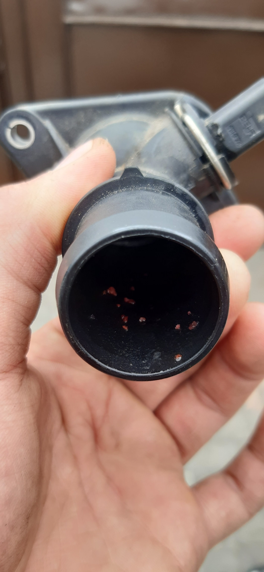 Вот и первая поломка. Термостат — Skoda Octavia Combi Mk1, 1,6 л., 2004 ...