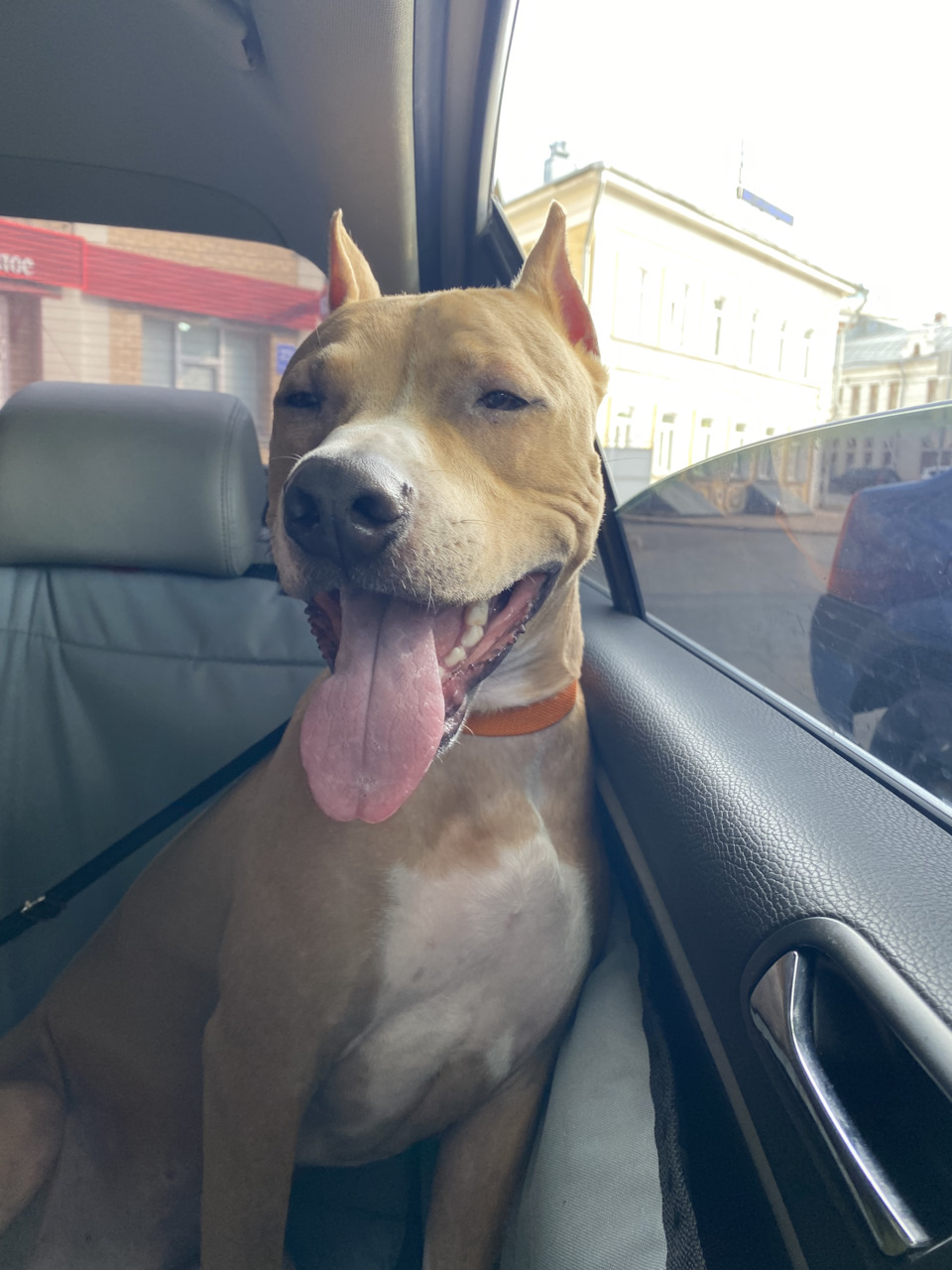 Фото в бортжурнале Volkswagen Passat B6