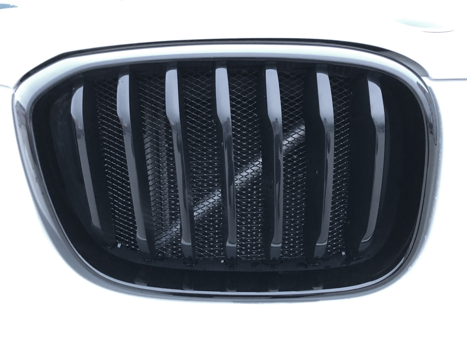 ноздри бмв е70