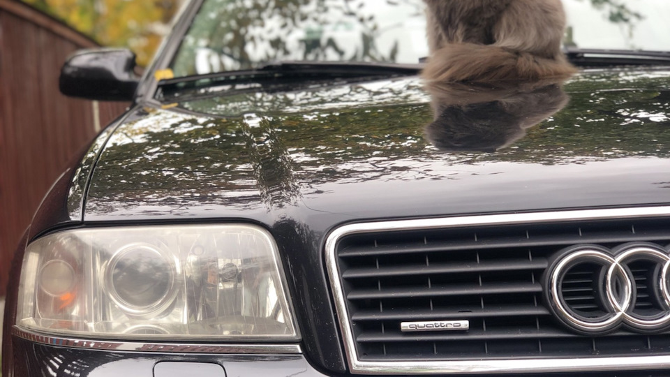 Прошивка RNS-E — Audi A6 Avant (C5), 2,5 л, 2004 года | просто так | DRIVE2