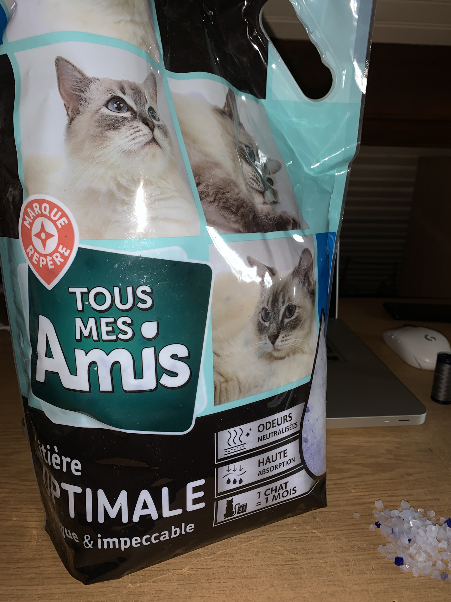 Фары потеют. Потные фары. — BMW 1 series (E81/E87), 2 л, 2007 года ...