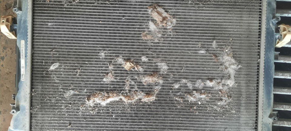 Фото в бортжурнале Volkswagen Jetta VI