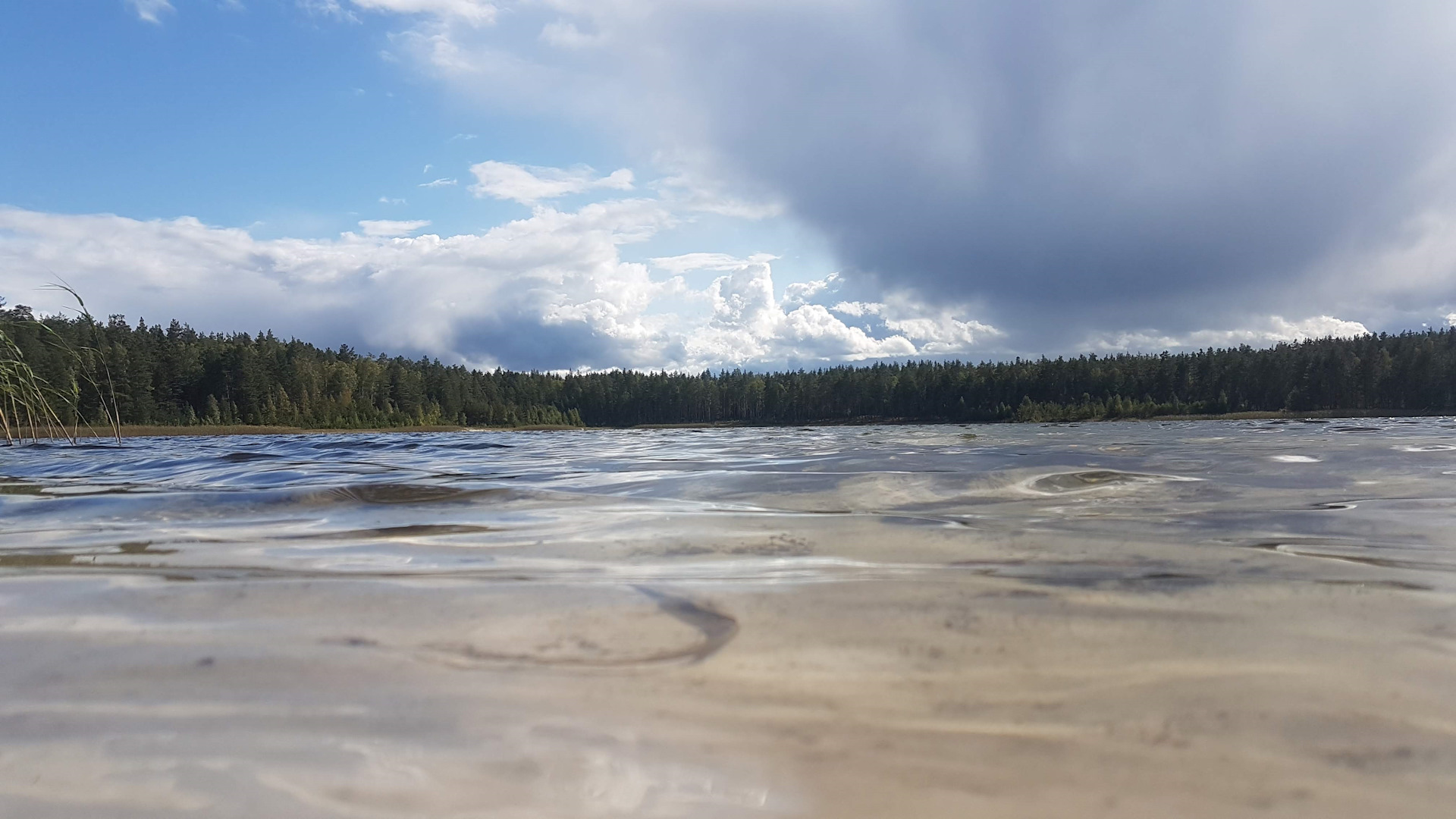 Широха озеро меленковский район фото