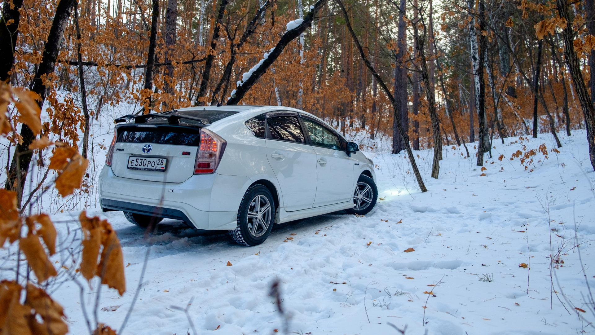 Чисто я🤦🏼‍♀️: полосы заднего хода — Toyota Prius (30), 1,8 л, 2009 года |  прикол | DRIVE2