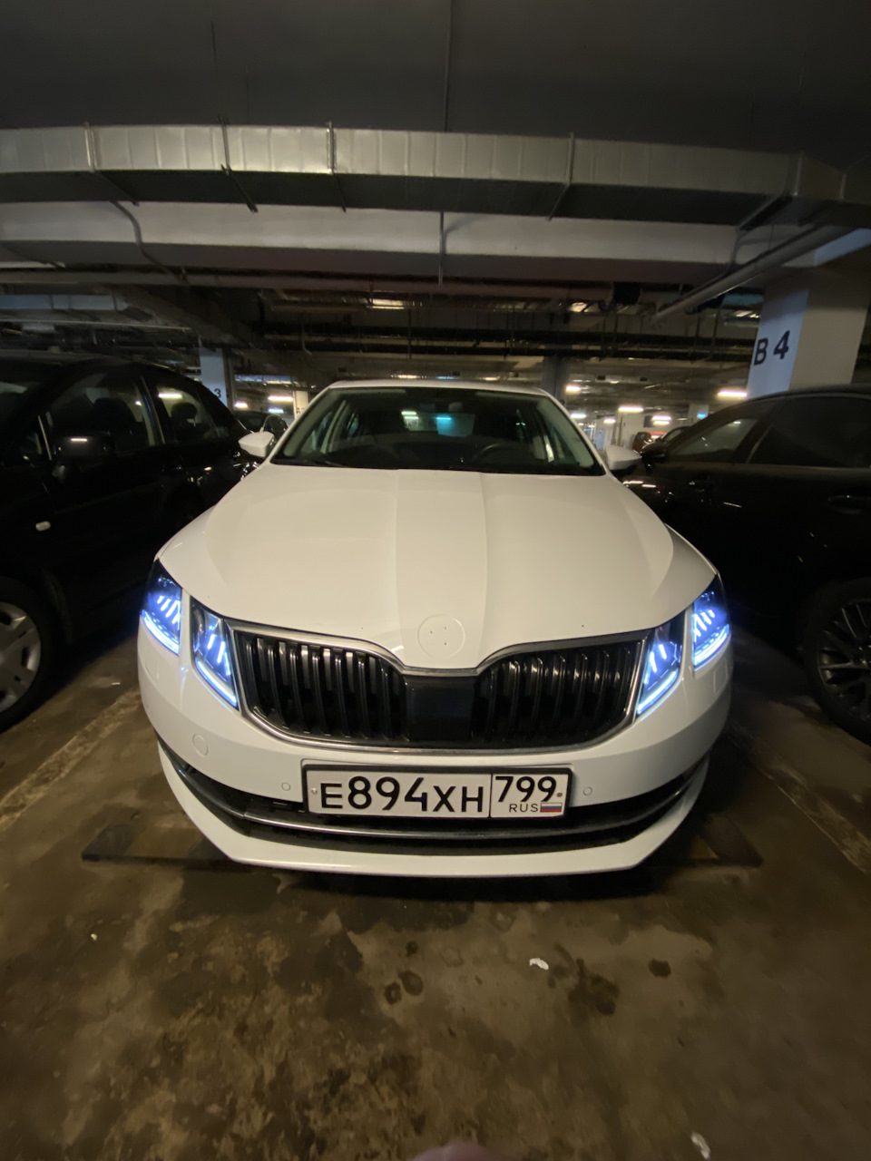 8. На пути к стилю Ч.1: Перекрас значков с надписями 🦎⚫️ — Skoda Octavia  A7 Mk3, 1,4 л, 2017 года | стайлинг | DRIVE2