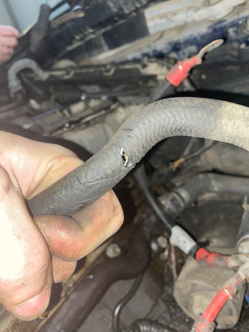 Причины стука в двигателе BMW Е39